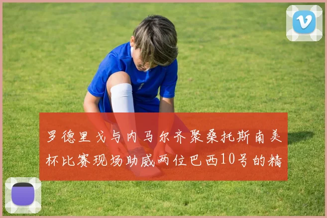 罗德里戈与内马尔齐聚桑托斯南美杯比赛现场助威两位巴西10号的精彩时刻